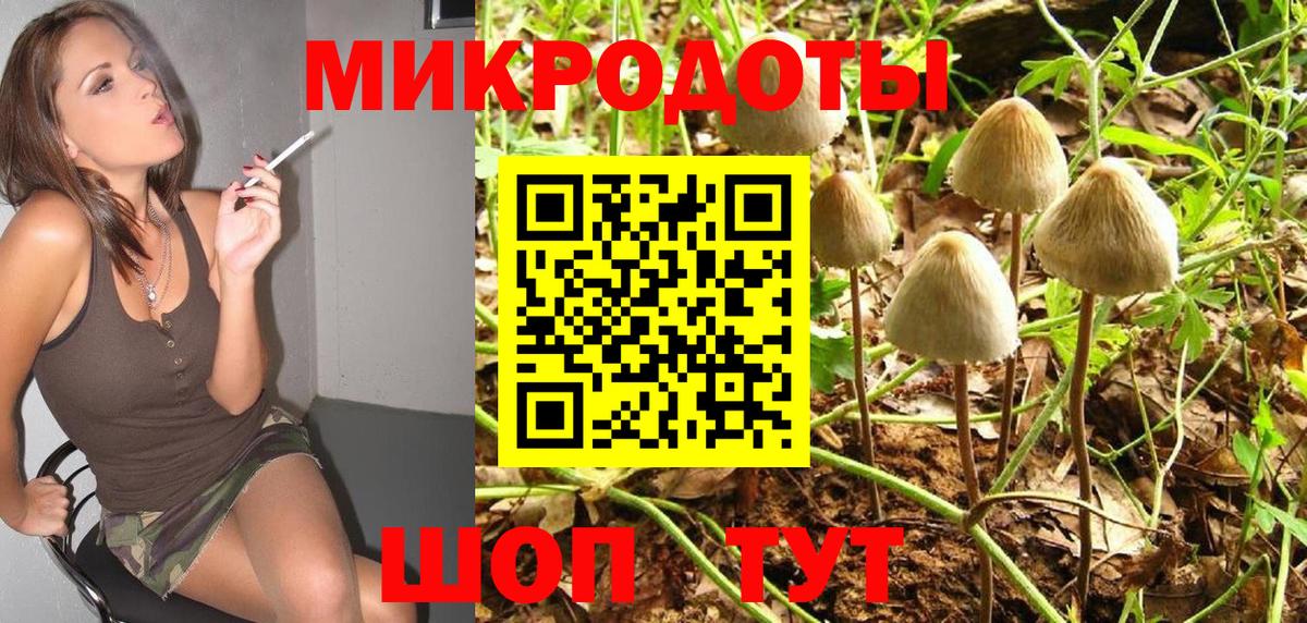 Галлюциногенные грибы Psilocybe Саров